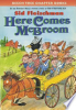 Here_comes_McBroom_
