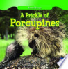 A_prickle_of_porcupines