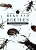 Identifying_bugs_and_beetles