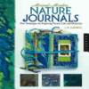 Mixed-media_nature_journals