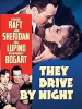 They_drive_by_night
