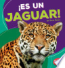 __Es_un_jaguar_