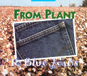 From_plant_to_blue_jeans