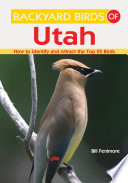 Backyard_birds_of_Utah