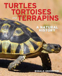 Turtles__tortoises_and_terrapins