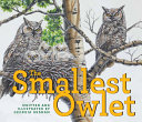 The_smallest_owlet