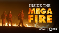 Inside_the_Megafire