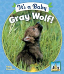 It_s_a_baby_gray_wolf_