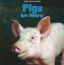 Pigs_are_smart_