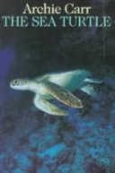 The_sea_turtle