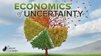 The_Economics_of_Uncertainty_Series