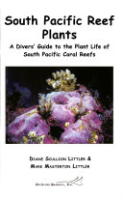South_Pacific_reef_plants