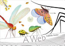 A_web