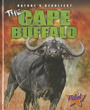 The_Cape_buffalo