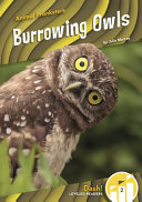 Burrowing_owls