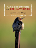 Rare_Encounters_with_Ordinary_Birds