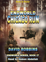 Chicago_Run