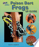 Poison_dart_frogs_up_close