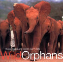 Wild_orphans