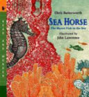 Sea_horse