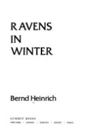 Ravens_in_winter