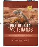 One_iguana__two_iguanas