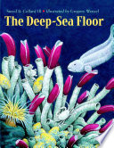 The_deep-sea_floor