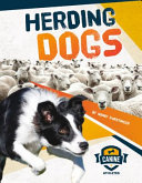 Herding_dogs