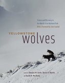 Yellowstone_wolves