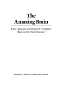 The_amazing_brain