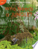Who_needs_a_jungle_
