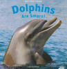 Dolphins_are_smart_