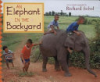 An_elephant_in_the_backyard