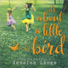 It_s_about_a_little_bird
