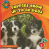 Puppies_grow_up_to_be_dogs