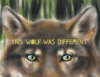 This_wolf_was_different