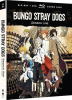 Bungo_stray_dogs