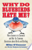 Why_do_bluebirds_hate_me_
