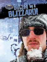 Blitzed_by_a_Blizzard_