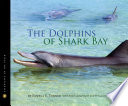 The_dolphins_of_Shark_Bay