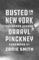 Busted_in_New_York_and_other_essays