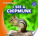 I_see_a_chipmunk