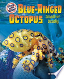 Blue-ringed_octopus