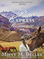 A_Pony_Express_Romance